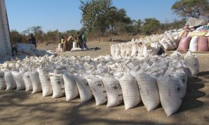 Read more about the article East Chiefs praise govt. for relief maize