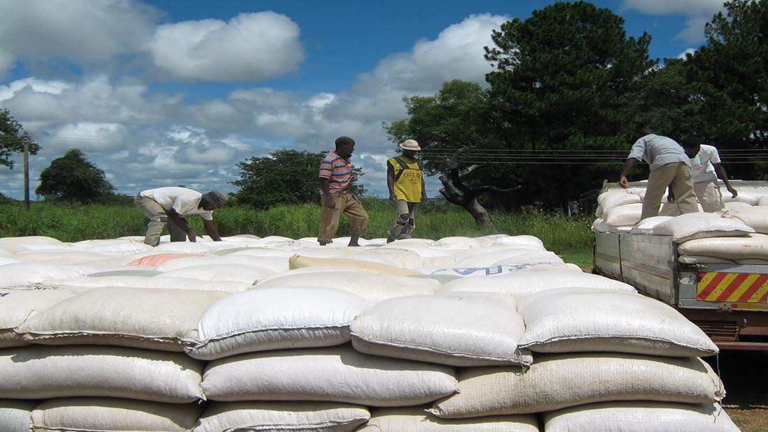 You are currently viewing Chilanga to receive 200 metric tonnes relief maize