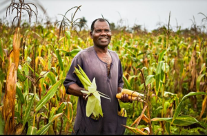 Read more about the article Smart agric. increases productivity for North farmers