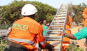 Read more about the article Chisamba DC appeals to ZESCO