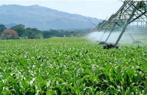 Read more about the article Mkushi farmers support calls for irrigation farming