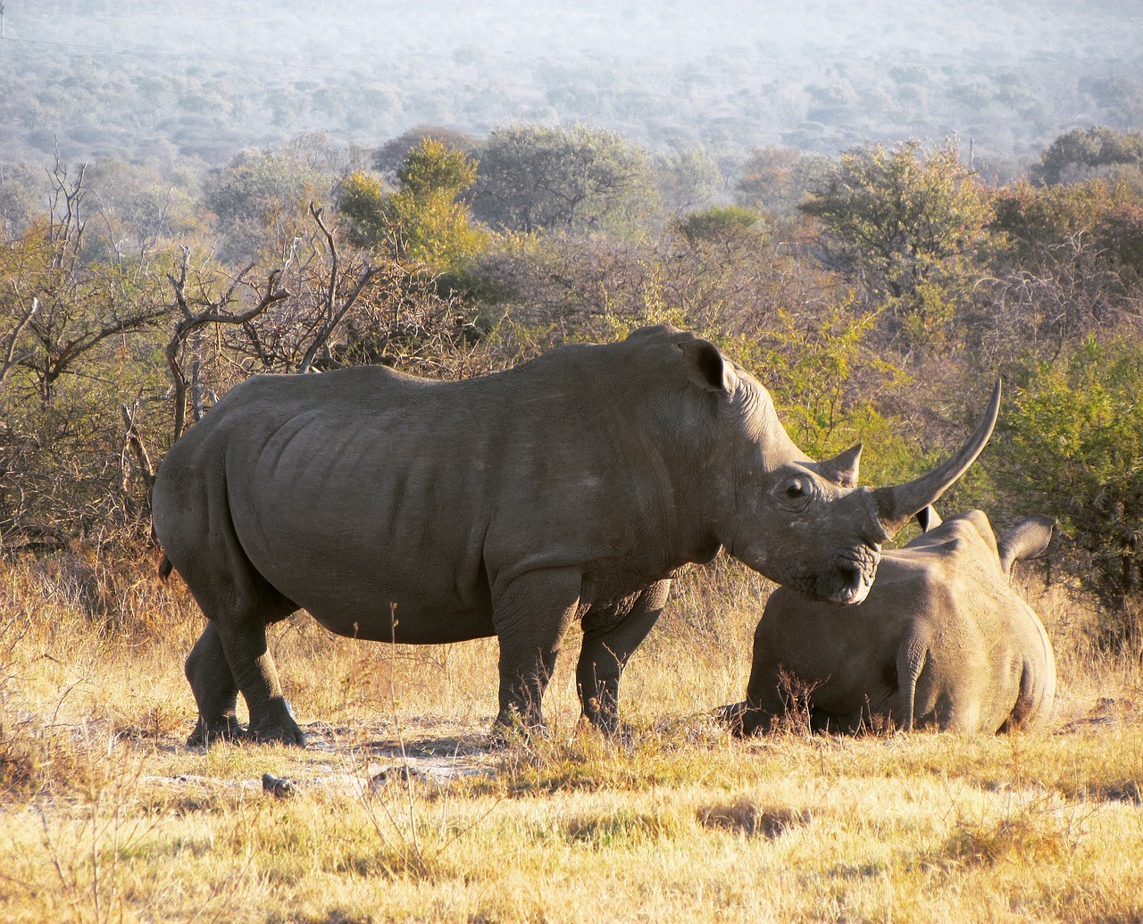 Read more about the article Western Province PS calls for more sensitisation on poaching