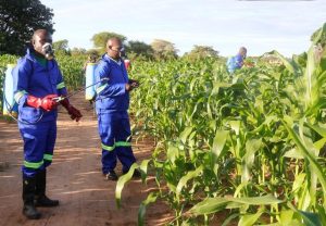Read more about the article NKANDU encourages youths to participate in transforming the agriculture sector