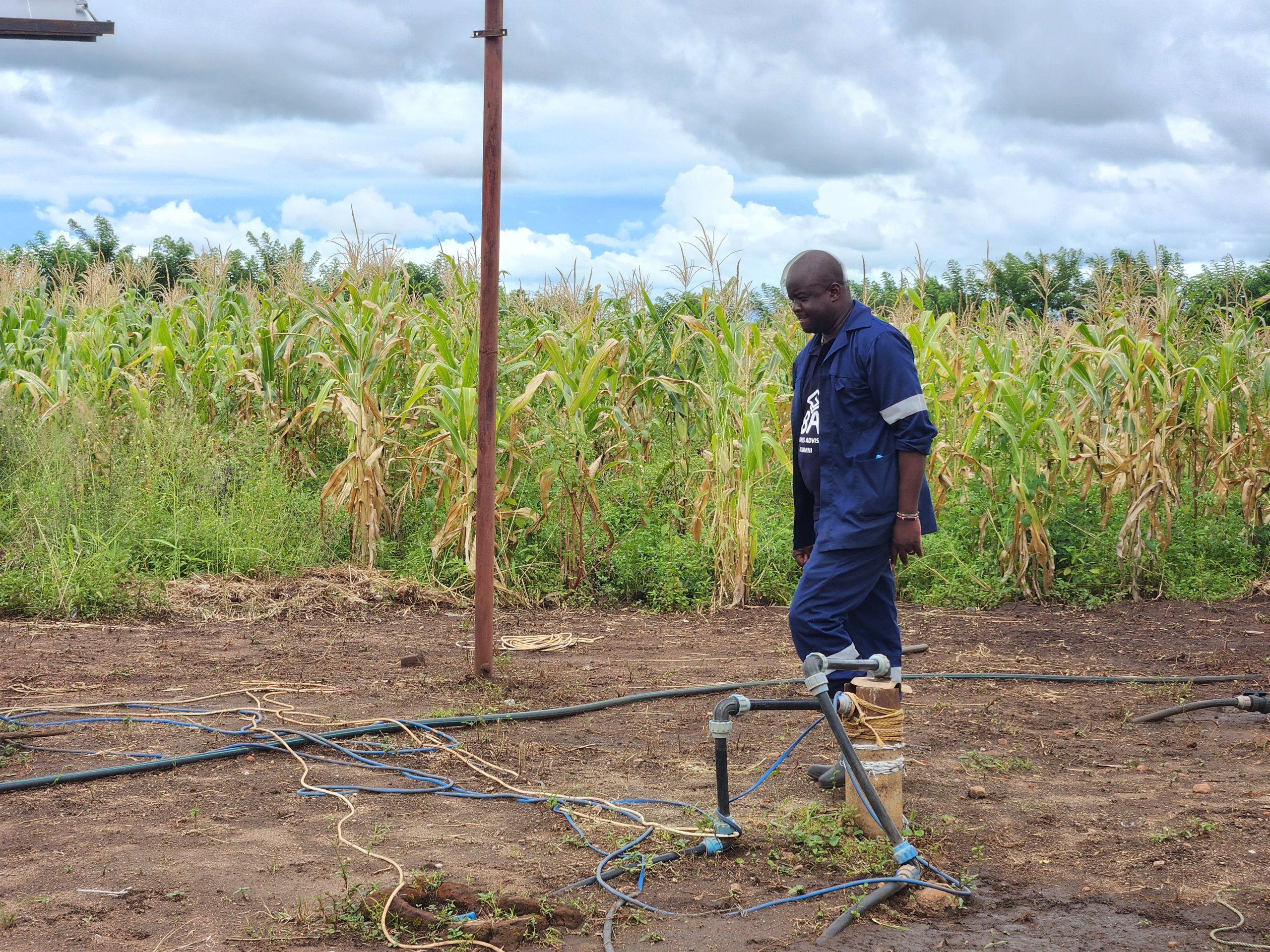 Read more about the article Civil servants urged to improve crop production