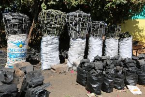 Charcoal burners advised against indiscriminate cutting down of trees