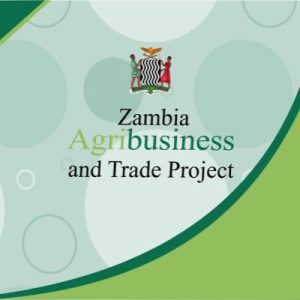 Read more about the article MINISTRY OF AGRICULTURE CALLS FOR INCLUSIVENESS OF CIVIL SERVANTS ON ZATP II