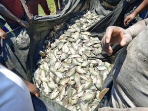 Read more about the article MINISTRY OF FISHERIES AND LIVESTOCK BEMOAN LOW FISH PRODUCTION IN NORTH-WESTERN PROVINCE