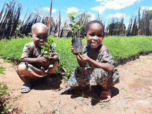 Read more about the article Infratel donates 2000 trees