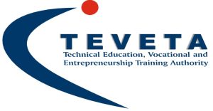 Read more about the article TEVET BURSARIES ONLY FOR REGISTERED STUDENTS