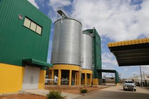 Read more about the article A CHINESE FIRM TO SET UP A MILLING PLANT IN SOLWEZI 