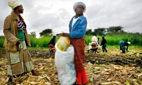 You are currently viewing NSAFA APPEALS TO GOVERNMENT TO CREATE MORE WOMEN AGRICULTURE PROGRAMMES