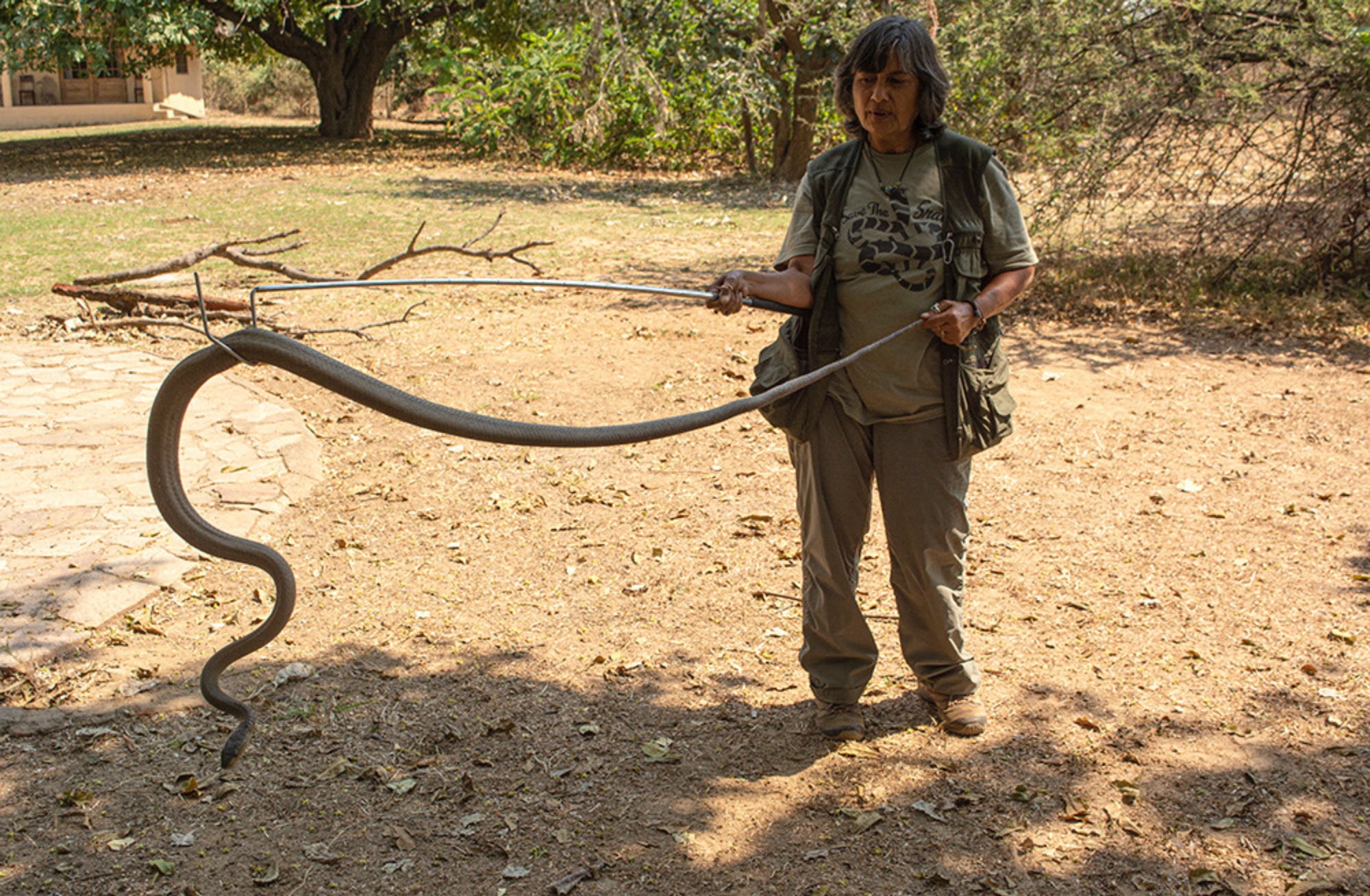 Read more about the article HEADMAN MWIMBE CALLS FOR CROPPING OF SNAKES HIS VILLAGE 