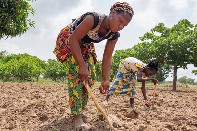 Read more about the article FARMERS URGED TO ADAPT TO CLIMATE CHANGE