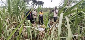 Read more about the article MOTHER, DAUGHTER DROWN IN KATOZI STREAM