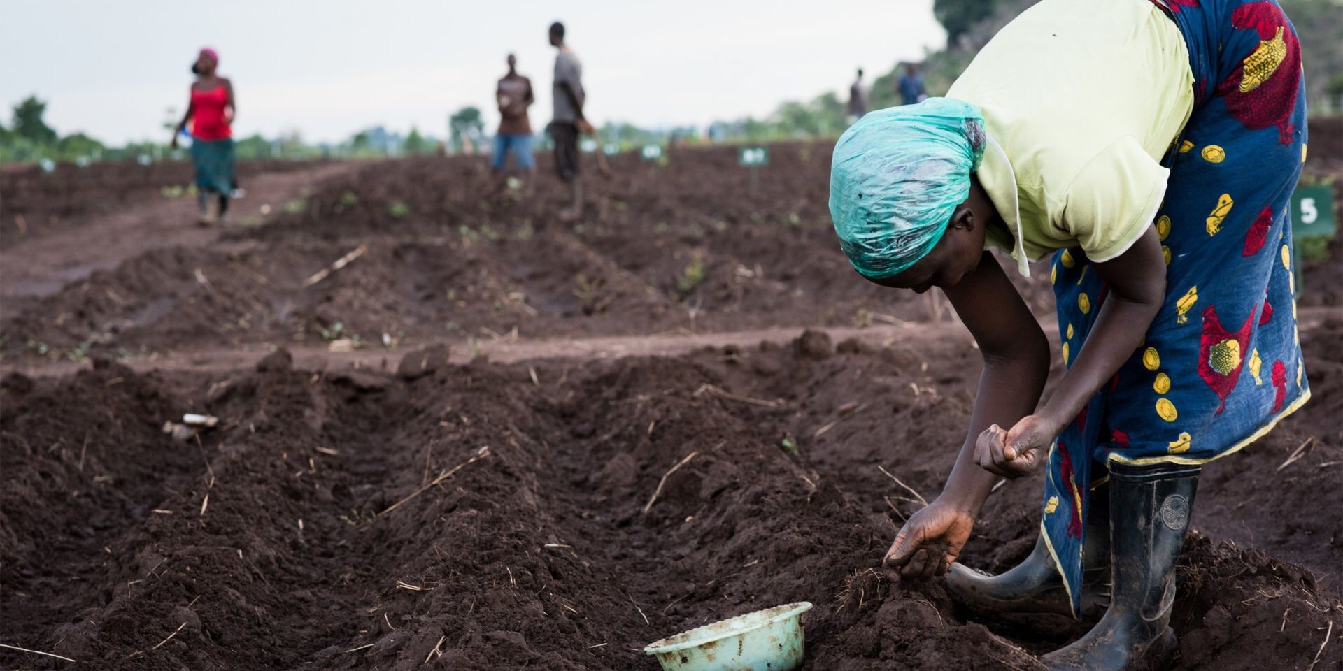 You are currently viewing 22 FARMERS FUNDED UNDER SAFF IN LUWINGU 