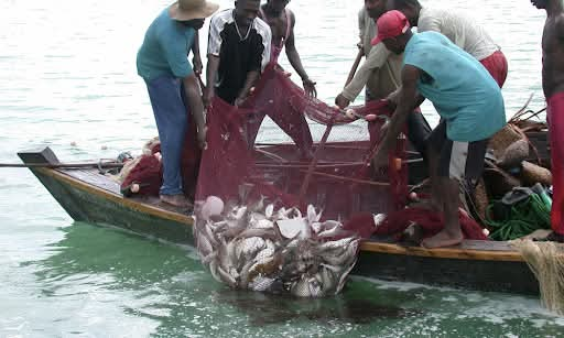 You are currently viewing LOW COMPLIANCE LEVELS TO FISHING BAN IN CHIFUNABULI RAISES CONCERN