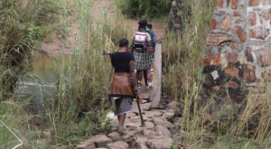 Read more about the article CHONGWE RESIDENTS APPEAL FOR REPAIR OF BRIDGE