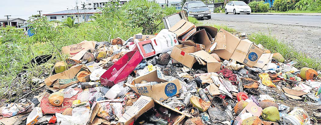 Read more about the article ILLEGAL DUMPING OF GARBAGE WORRIES COUNCIL