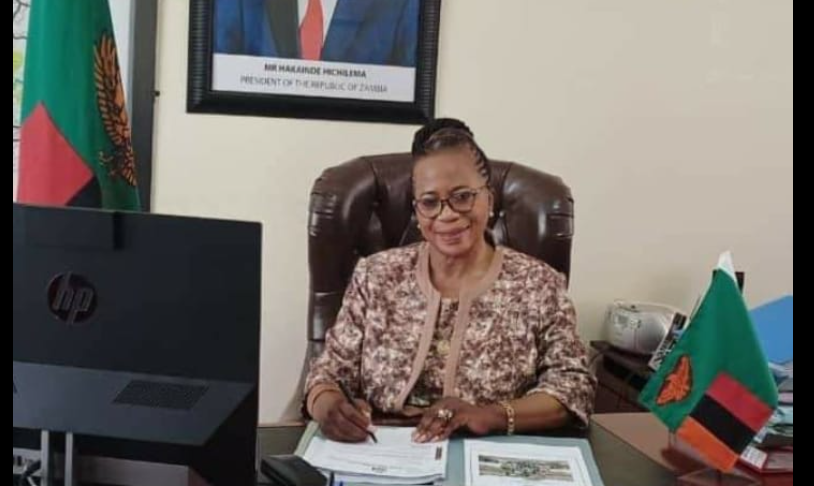 Read more about the article NEW LUSAKA PROVINCE PS URGED TO WORK HARD